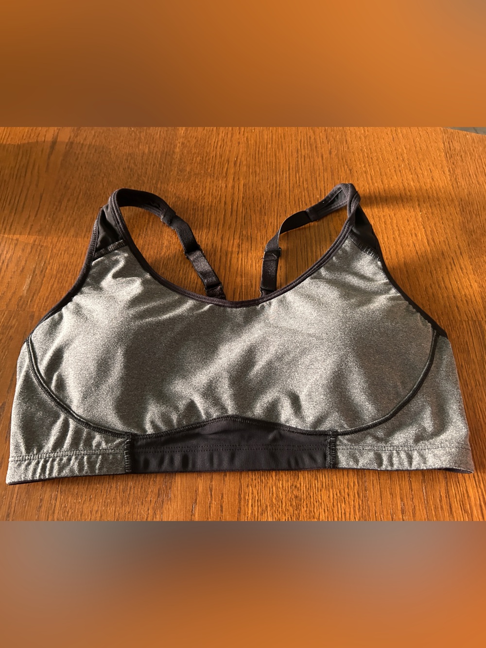 Denver Hayes Silver Metallic Sports Bra with Black Trim